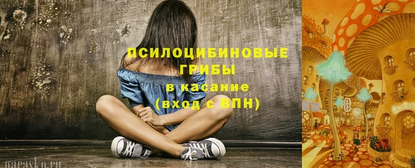марки lsd Инсар