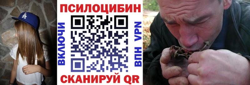 darknet наркотические препараты Цоци-Юрт Галлюциногенные грибы GOLDEN TEACHER